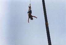 bungee11