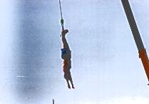 bungee12